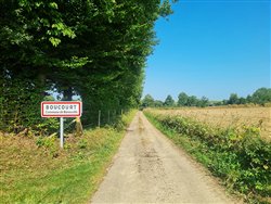 benesville (2)